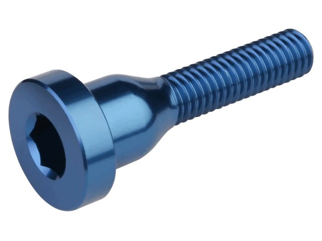 BURGTEC Top Cap Bolt